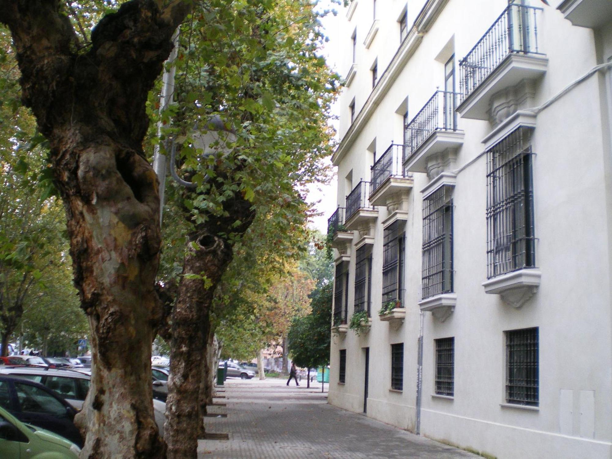 Apartamentos Murallas De Sevilla المظهر الخارجي الصورة